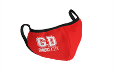 Load image into Gallery viewer, Mask For The Fellas